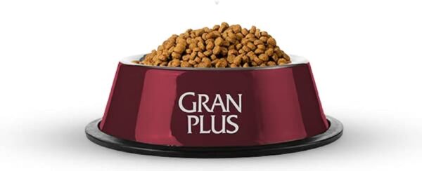 Granel Gran Plus Gatos Filhotes Carne e Frango 1Kg