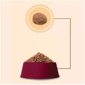 Granel Gran Plus Cães Filhotes Médio Grande Porte Carne e Arroz 1Kg